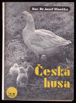Česká husa