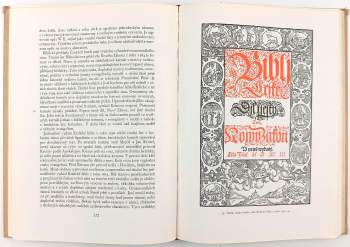 František Horák: Česká kniha v minulosti a její výzdoba