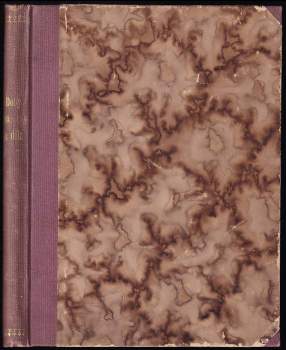 Česká koruna královská a koruny panovničí do XVII. století