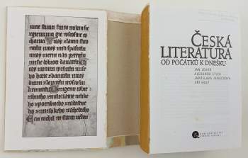 Jan Lehar: Česká literatura od počátků k dnešku