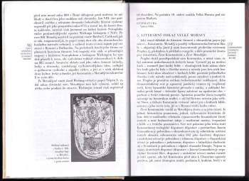 Jan Lehar: Česká literatura od počátků k dnešku