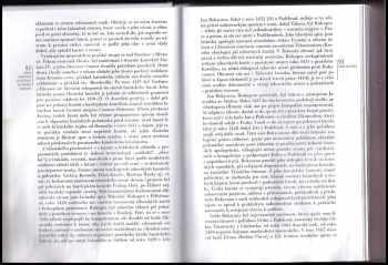 Jan Lehar: Česká literatura od počátků k dnešku