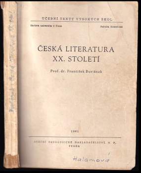 Česká literatura XX. století