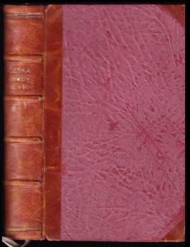 Česká poesie XIX. věku