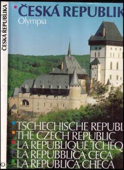 Vladimir Birgus: Česká republika