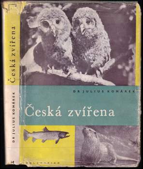 Česká zvířena