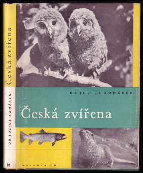Česká zvířena