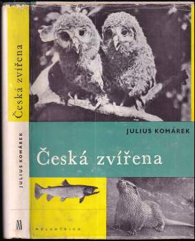 Česká zvířena