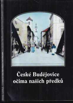 České Budějovice očima našich předků, aneb, Se starými fotografiemi kolem Bludného kamene
