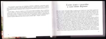 Jiří Pernes: České dějiny v datech