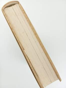 František Hoffmann: České město ve středověku