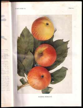 Jan Říha: České ovoce