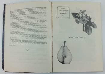 Jan Říha: České ovoce