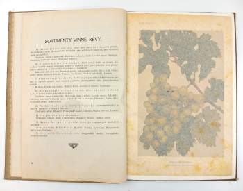 Jan Říha: České ovoce