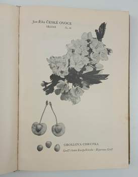 Jan Říha: České ovoce