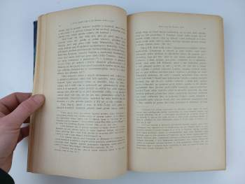 Josef Kalousek: České státní právo
