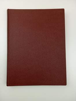 Antonín Matějček: České umění gotické