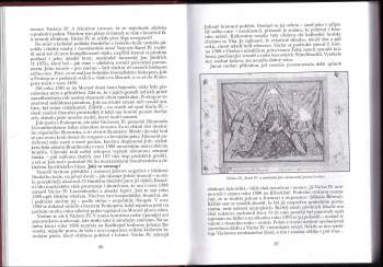 Jaroslav Čechura: České země v letech 1378-1437