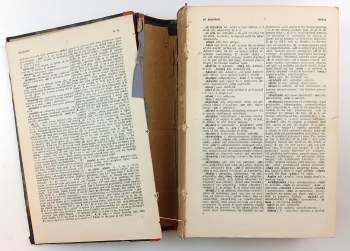 Václav Alois Jung: Česko - anglický slovník, 1. - 2. díl