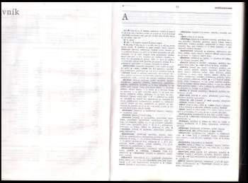 Stanislav Lyer: Francouzsko-český slovník-Dictinnnaire francais- tcheque