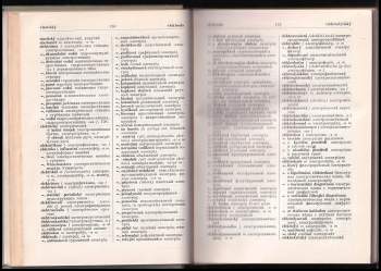 Česko-ruský technický slovník