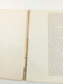 Česko-slovenská armáda