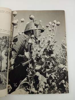 Česko-slovenská armáda