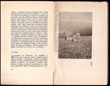 Stanislav Kostka Neumann: Československá cesta