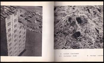 Josef Prošek: Československá fotografie