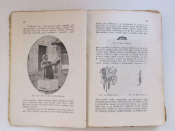 Josef Mnohoslav Kadlčák: Československý včelař