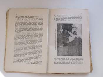 Josef Mnohoslav Kadlčák: Československý včelař