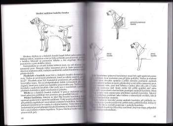 Jaromír Dostál: Český fousek