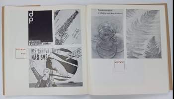 Jan Rous: Český funkcionalismus 1920-1940
