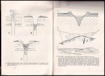 Anna Bauerová: Český granát