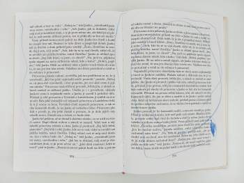 Josef Lada: Český Honza