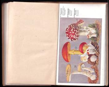 Jan Macků: Český houbař