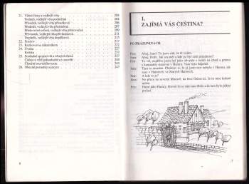 Antonín Tejnor: Český jazyk