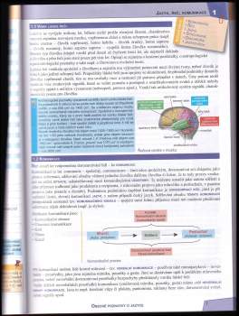 Drahuše Mašková: Český jazyk