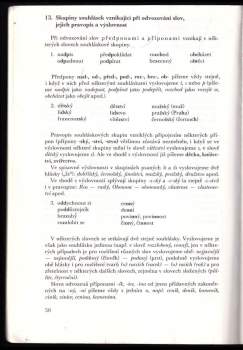 Vlastimil Styblík: Český jazyk