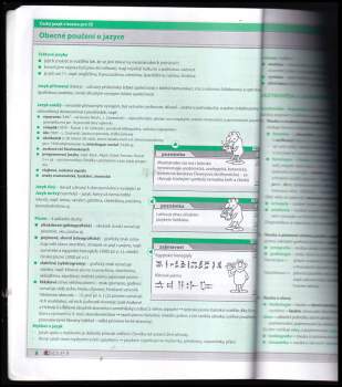 Marie Sochrová: Český jazyk v kostce