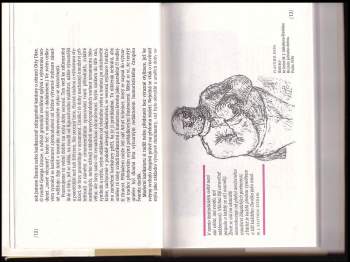 Radko Pytlík: Český kreslený humor XX. století