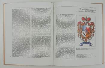 Jan Müller: Český Krumlov