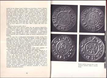 Miroslav Ivanov: Český pitaval, aneb, Královraždy