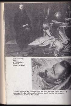 Miroslav Ivanov: Český pitaval, aneb, Kralovraždy
