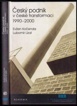 Český podnik v české transformaci 1990-2000