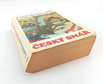 Ludvík Vaculík: Český snář