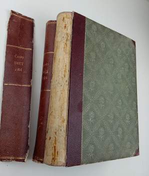 Vratislav Hugo Brunner: Český svět - illustrovaný týdenník - Ročník X. - I. a II.  pololetí 1913 - 1914