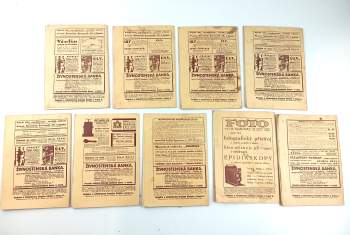 Antonín Schönfeld: Český včelař NEKOMPLETNÍ ROČNÍK 68