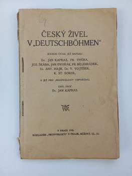 Jan Dvořák: Český živel v "Deutschböhmen"