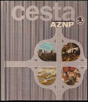 Cesta AZNP
